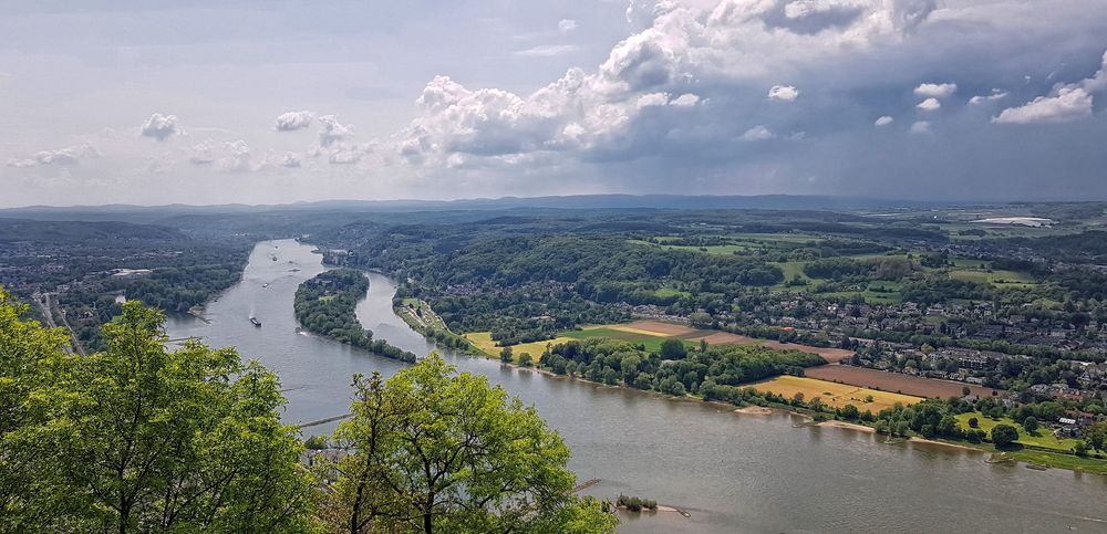 Drachenfels  Blick auf Rhein und Insel Nonnenwerth