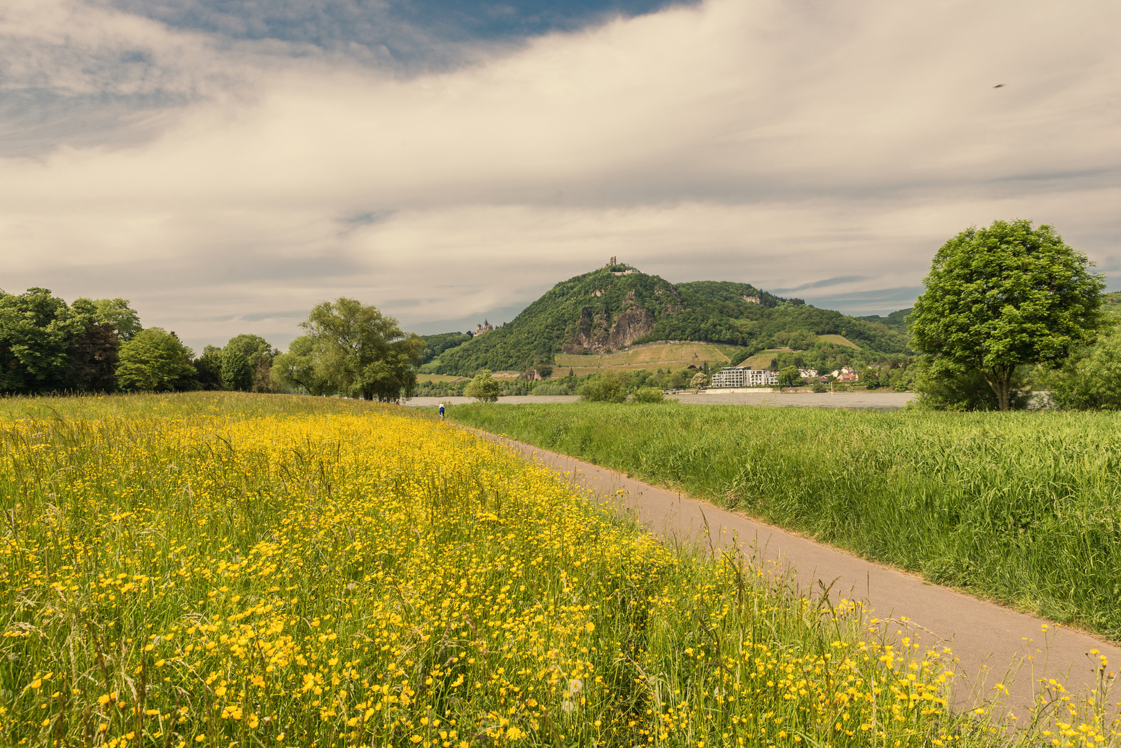 Drachenfels