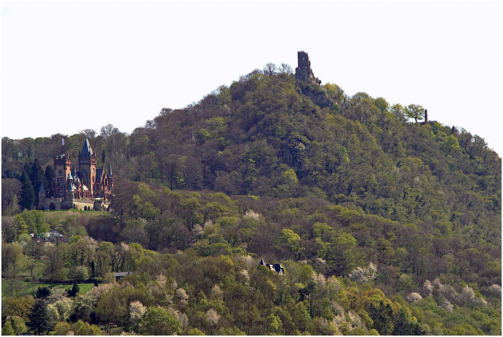 Drachenfels