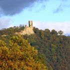 Drachenfels im Abendlicht