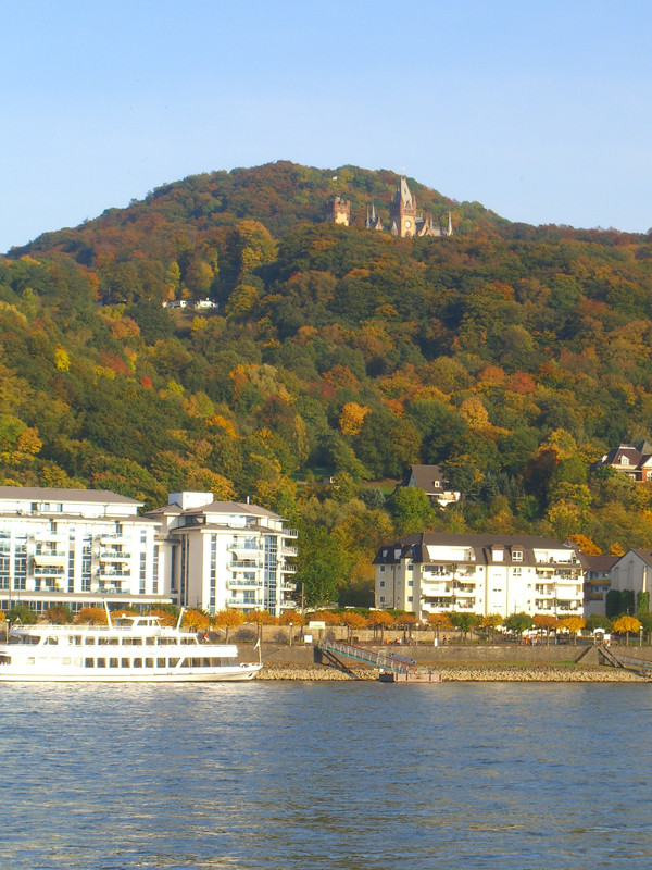 Drachenfels im Herbstkleid