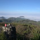 Drachenfels im Nebel