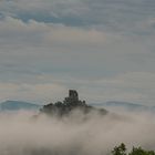 Drachenfels im Nebel