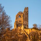 Drachenfels im November