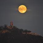 Drachenfels mit Mond zur blauen Stunde