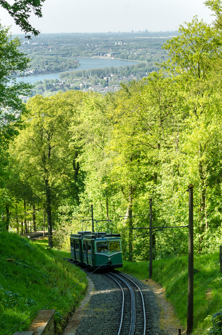 Drachenfelsbahn