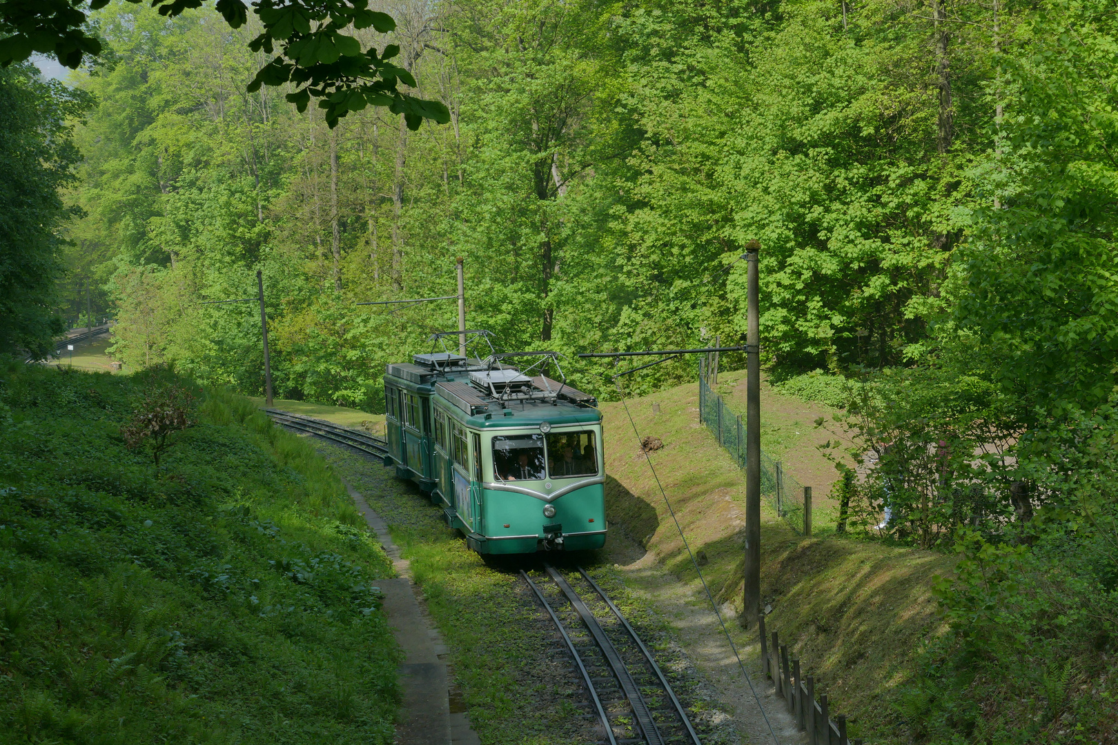 Drachenfelsbahn 4 