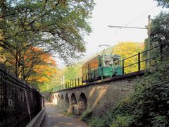 Drachenfelsbahn im Herbst