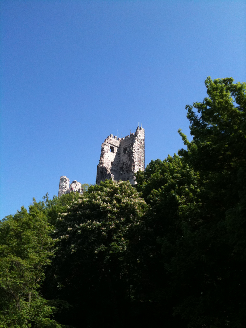 Drachenfelsen bei Koeln