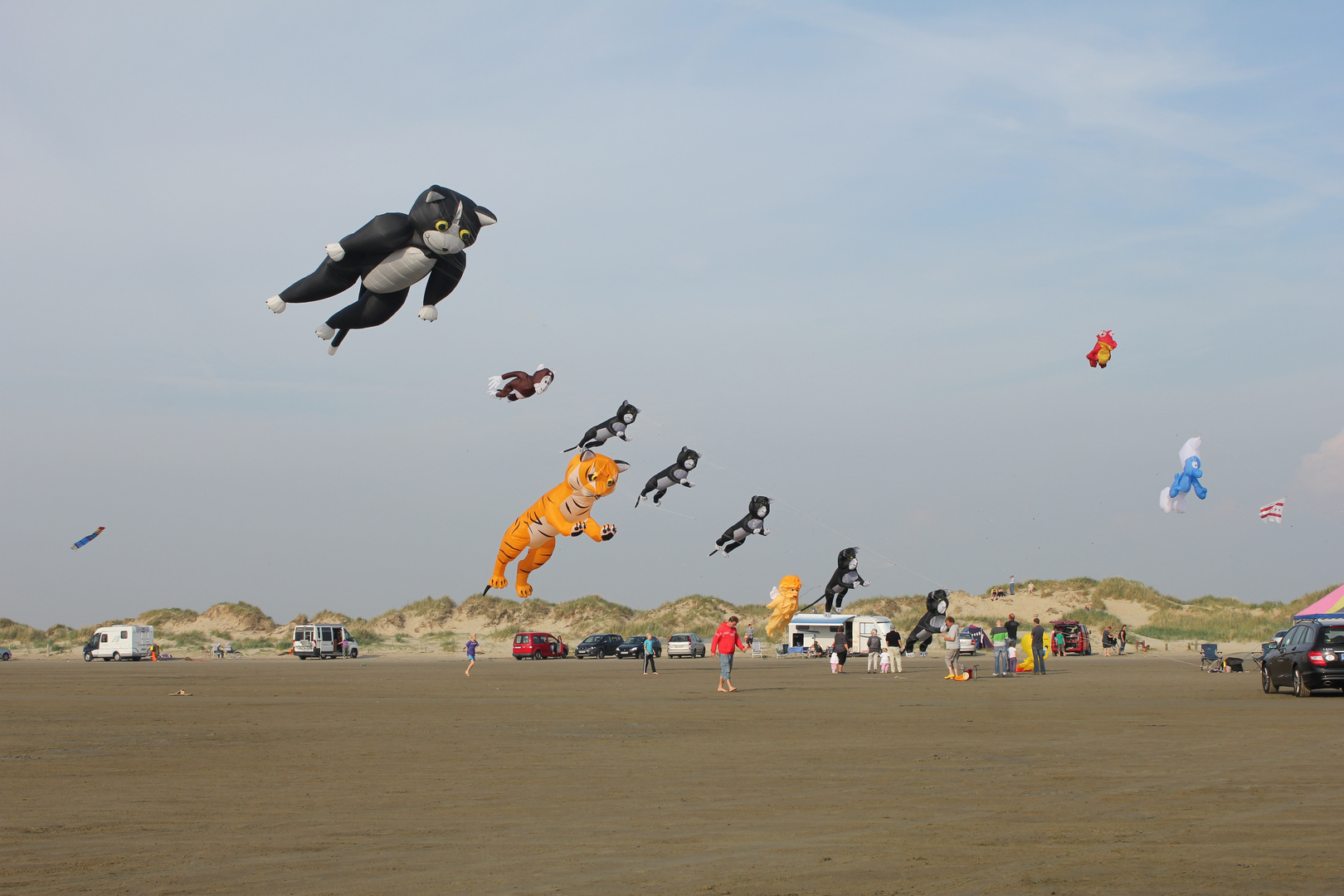 Drachenfest auf Rømø in Dänemark.