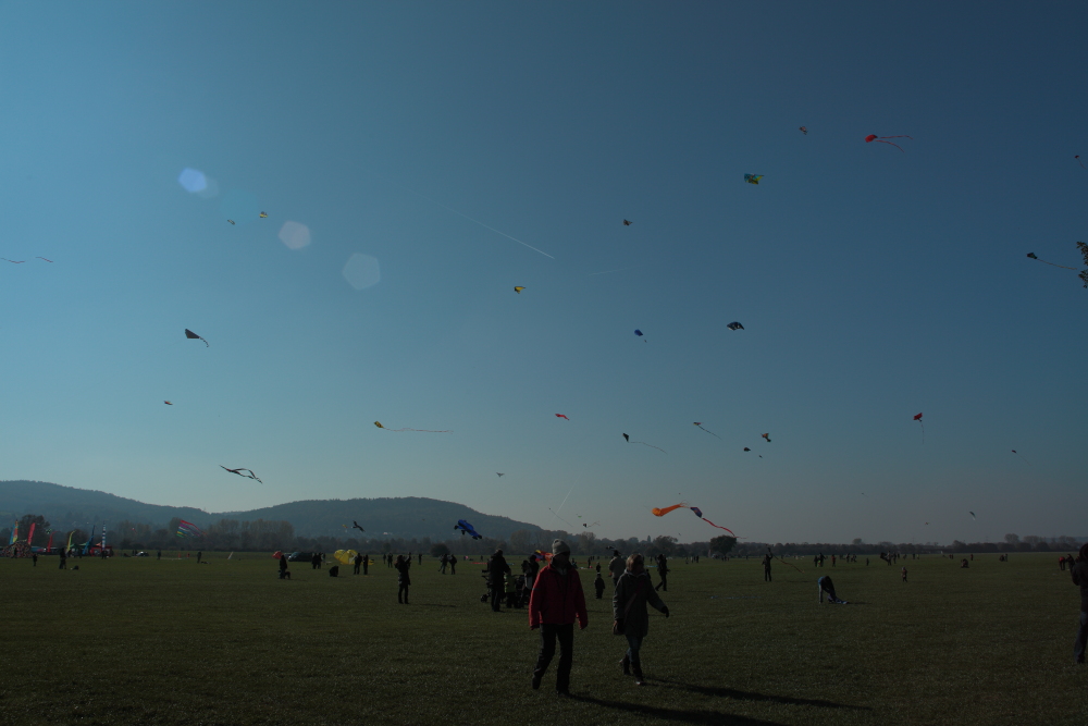 Drachenfest in Gelnhausen 1