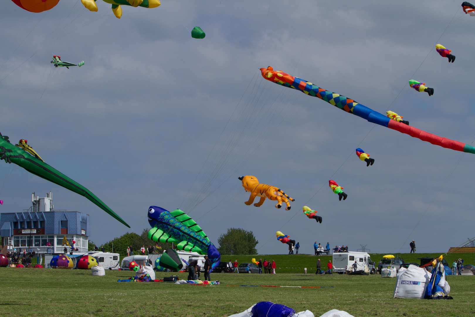 Drachenfest in Norddeich