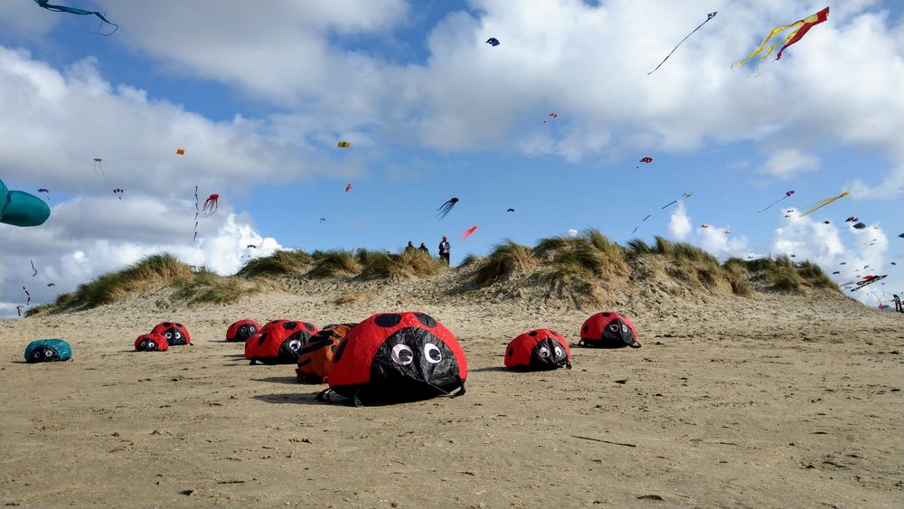 Drachenfest in Rømø (2)