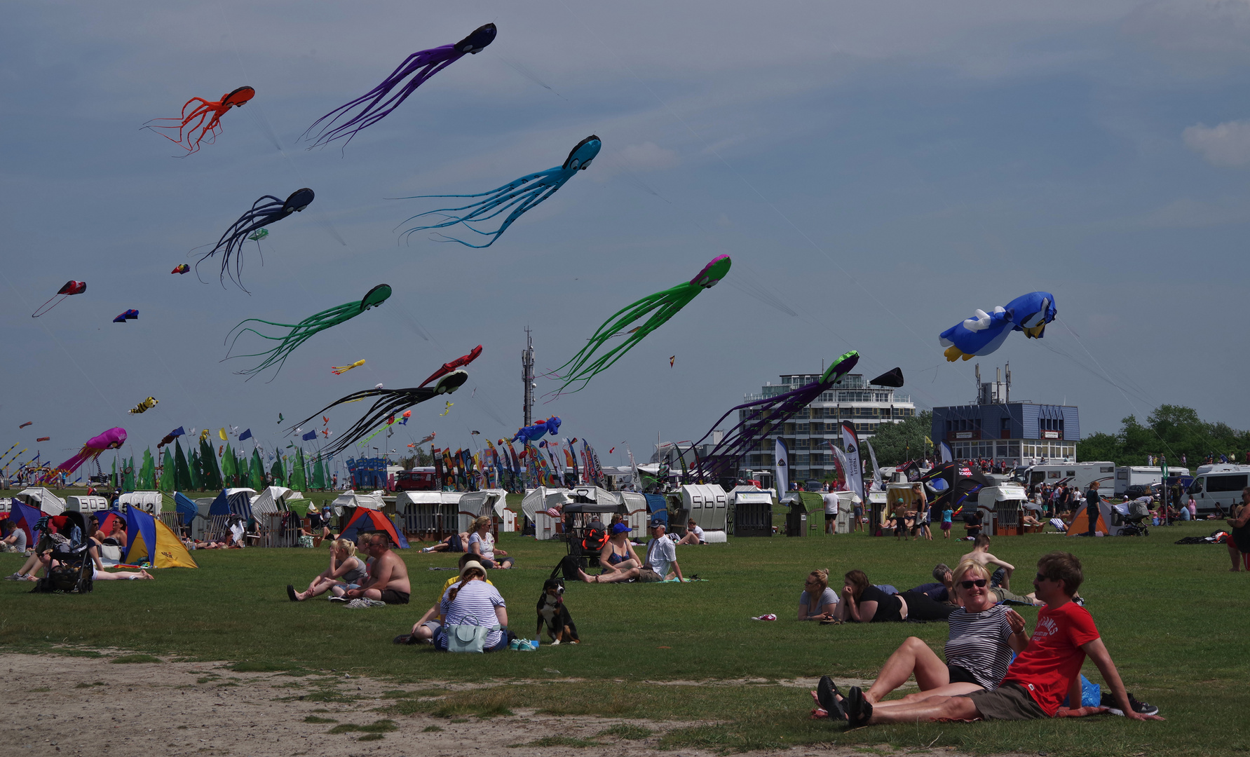 Drachenfest - Norddeich Ostfriesland