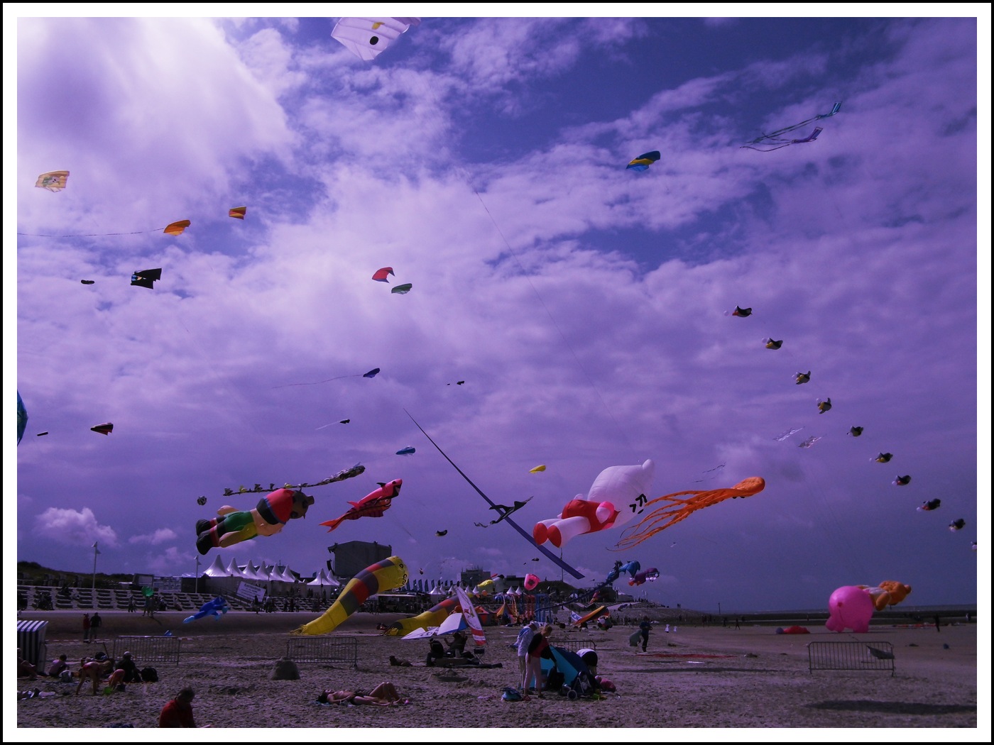 Drachenfest Norderney 2012