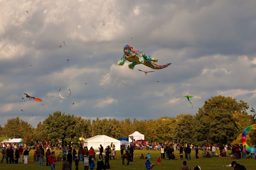 Drachenfest Potsdam 10