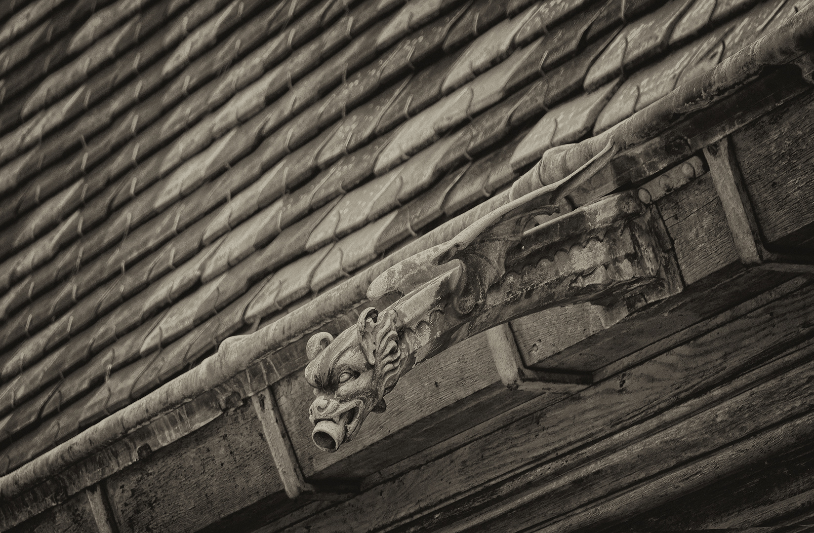 Drachenfigur im Hospiz Hôtel-Dieu, Beaune