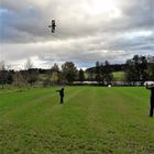 Drachenfliegen vor dem Walkweiher in Dinkelsbühl