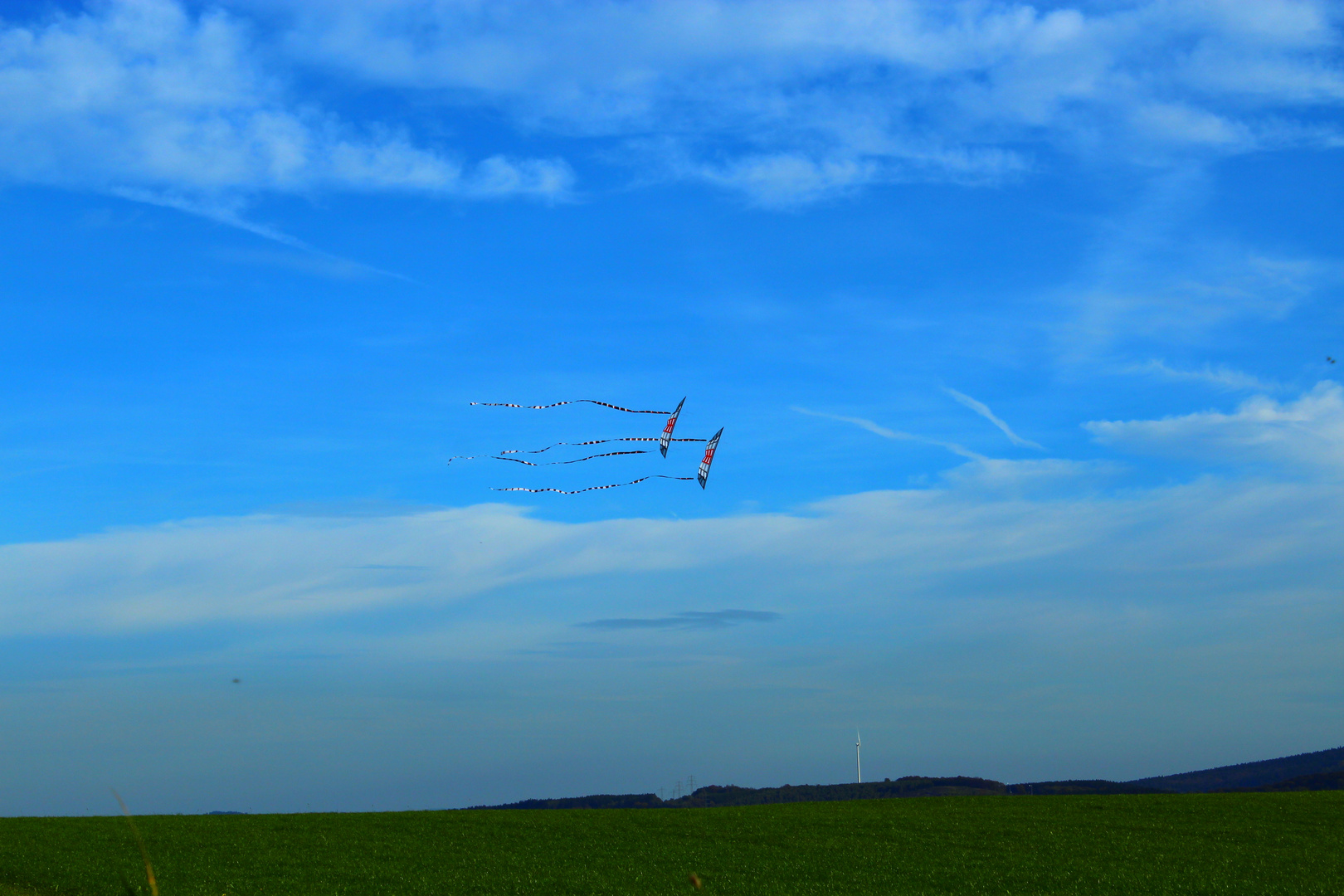 Drachenflug bei windigem Herbstwetter