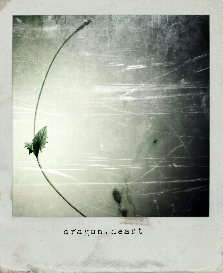 drachen.herz