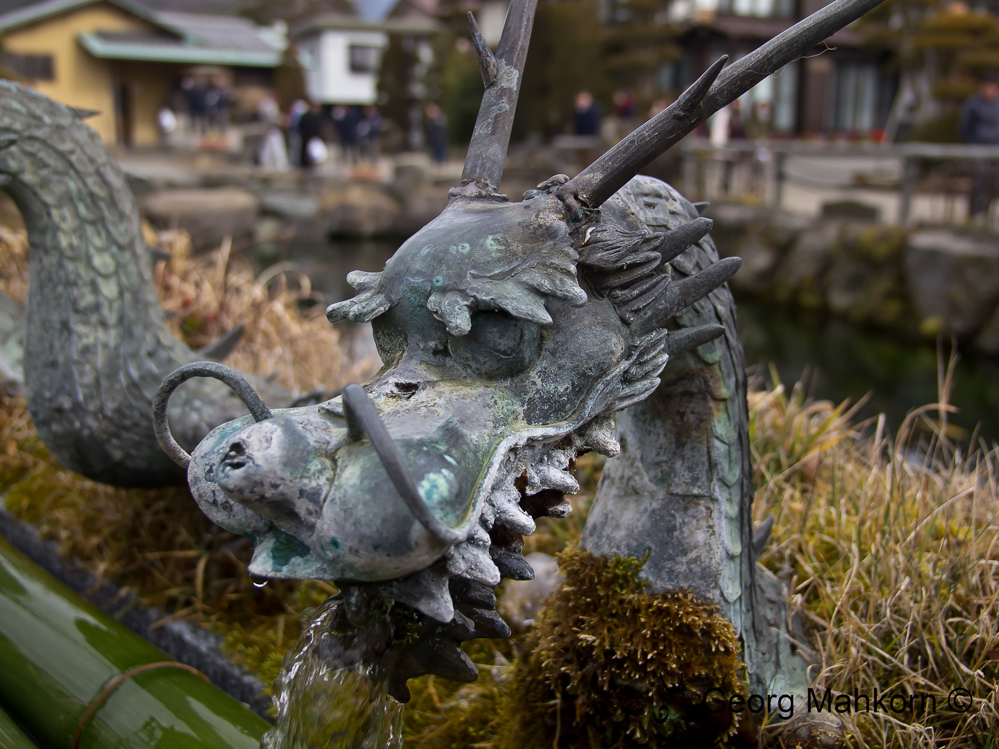 Drachenkopf eines Wasserspenders im Japanischen Garten