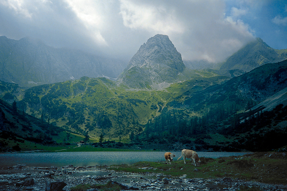 Drachenkopf und Seebensee, Mieminger Kette