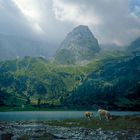 Drachenkopf und Seebensee, Mieminger Kette