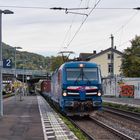 Drachenlok am Drachenfels