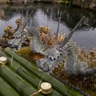 Drachenquelle in Japanischem Garten