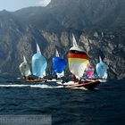 Drachenregatta Gardasee (Okt. 2011) - Spinnaker vor den Steilwänden