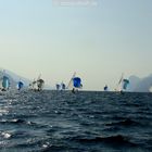 Drachenregatta - Spinnaker auf dem Gardasee (Okt. 2011)