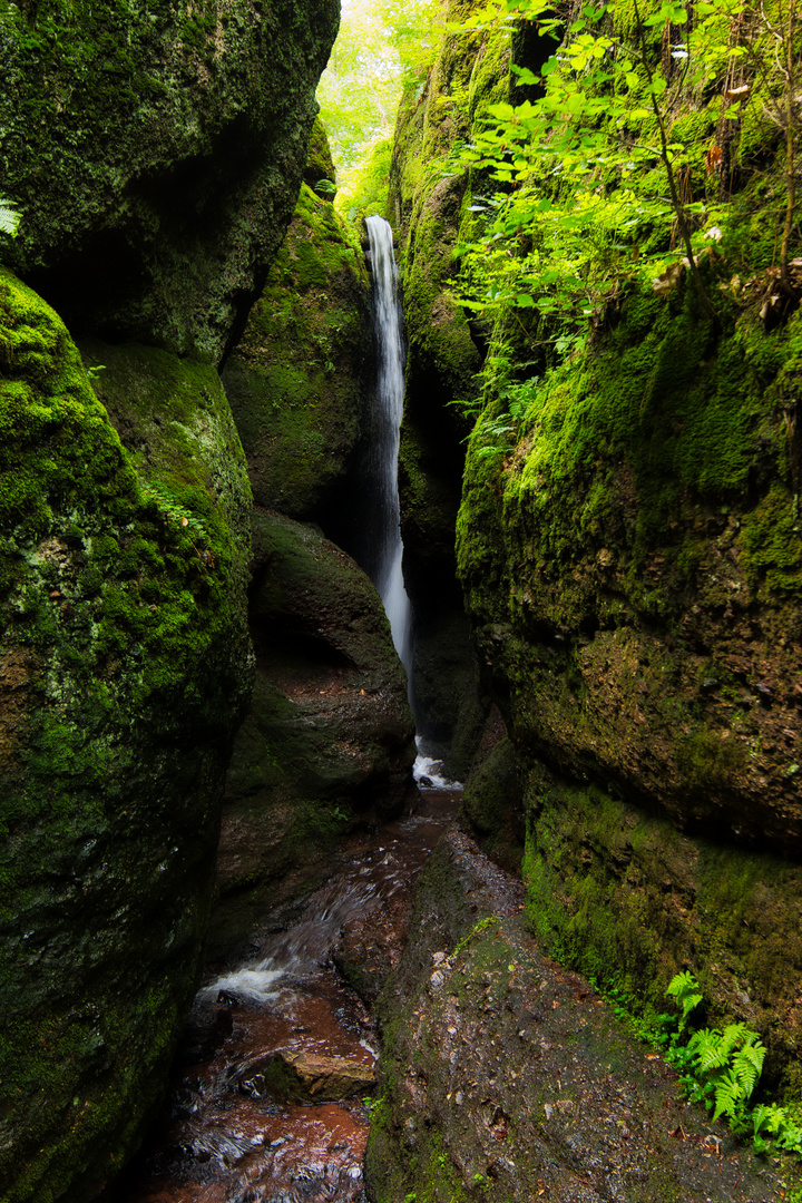 Drachenschlucht 