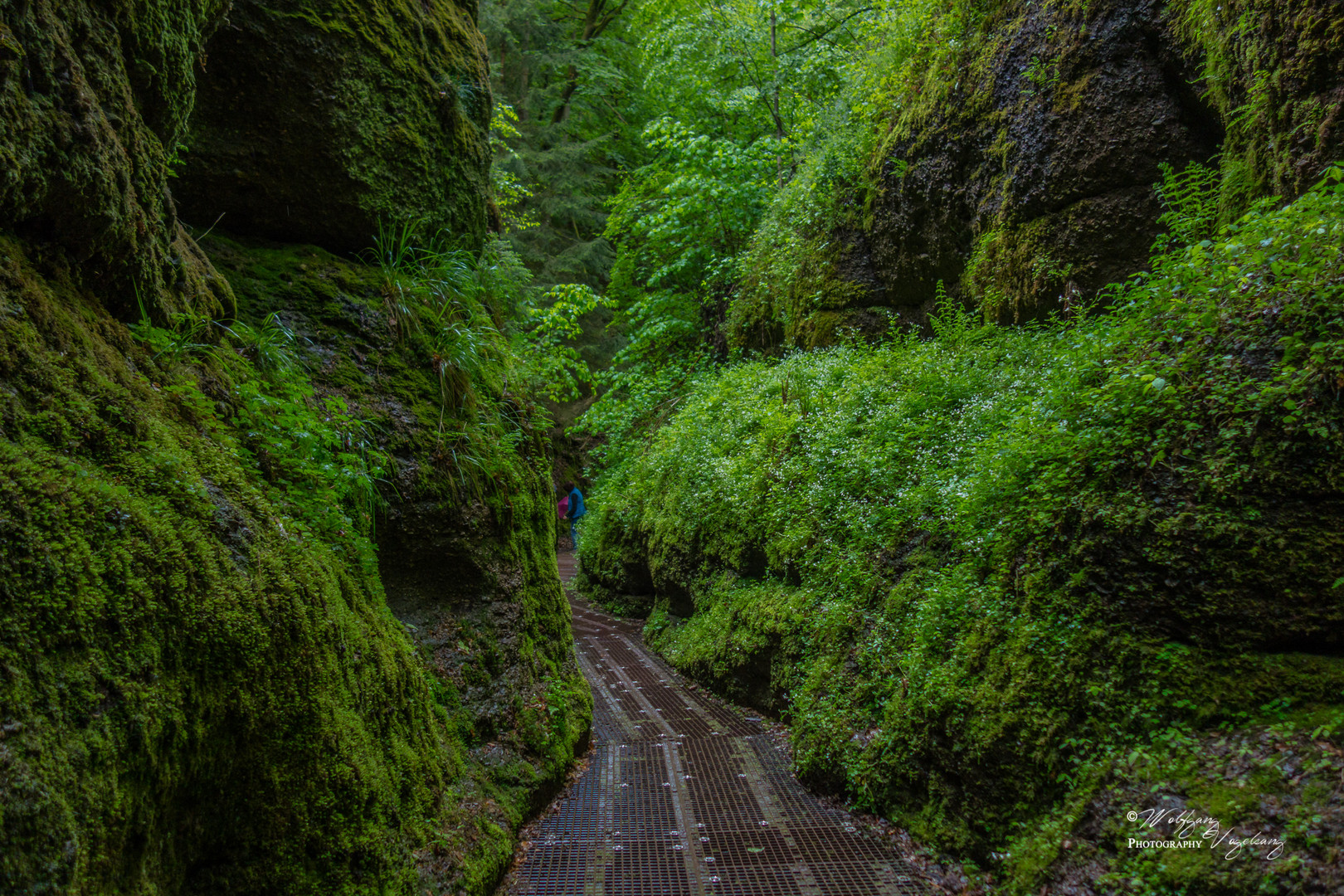 Drachenschlucht (1)