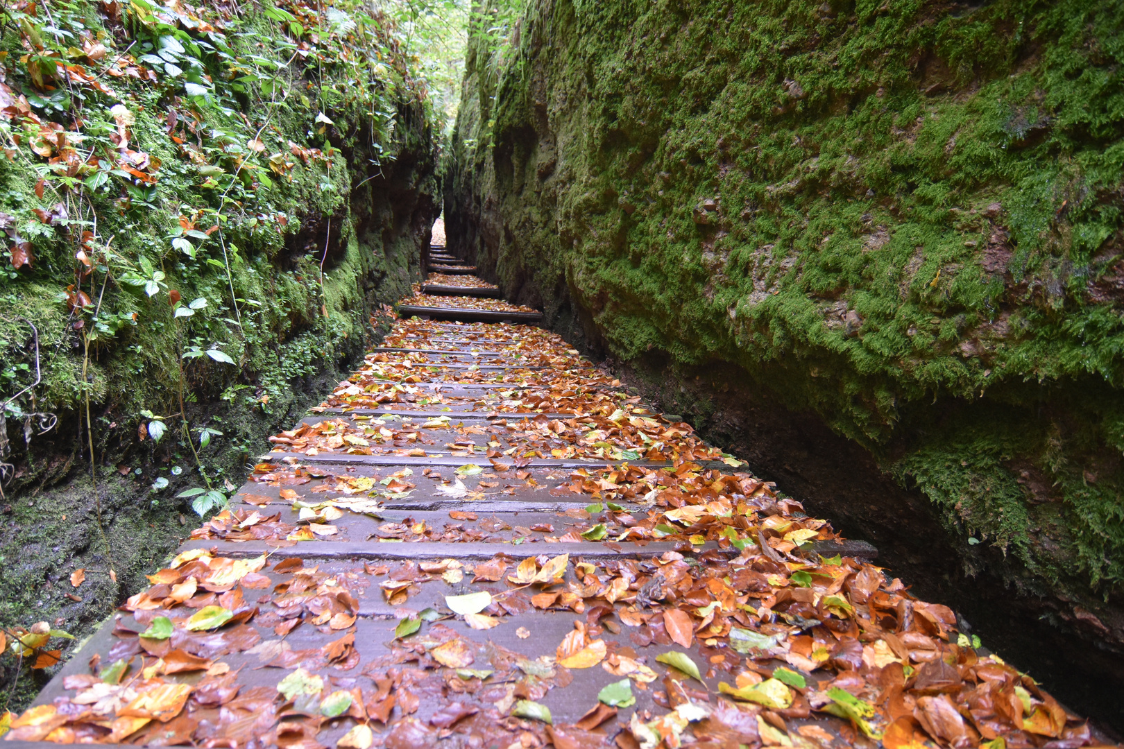 Drachenschlucht (2/3)