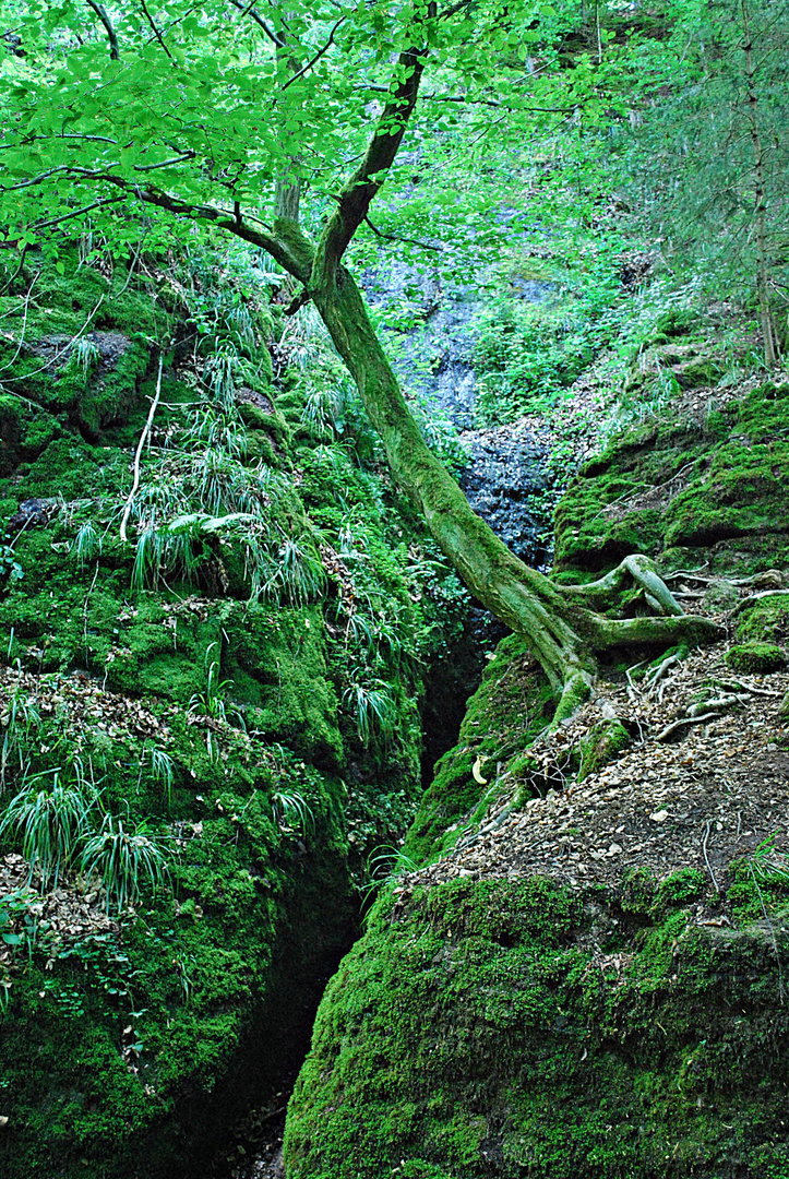 Drachenschlucht... 3