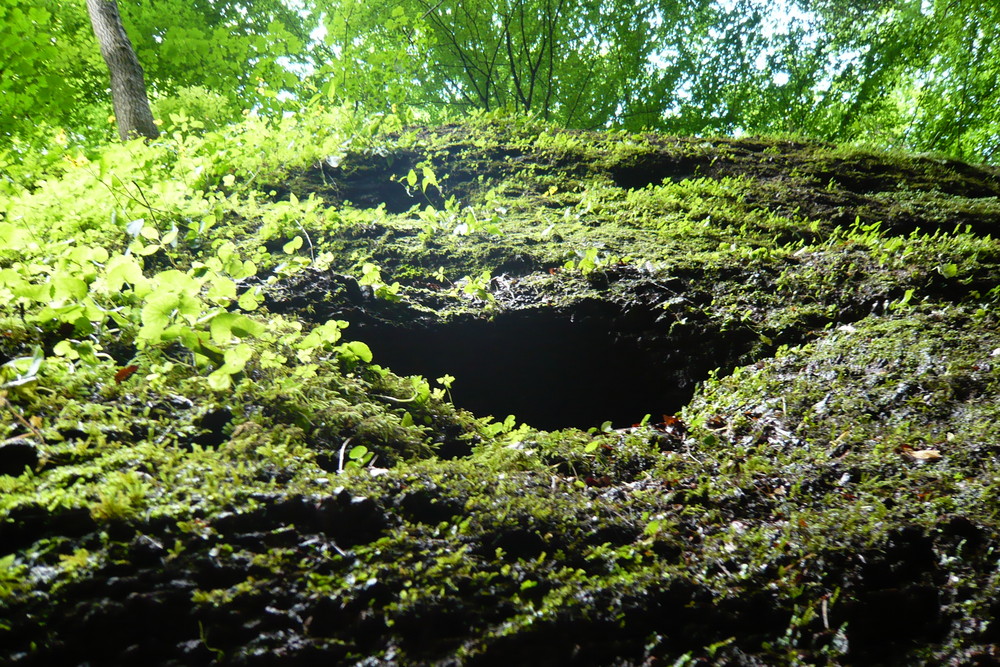 Drachenschlucht