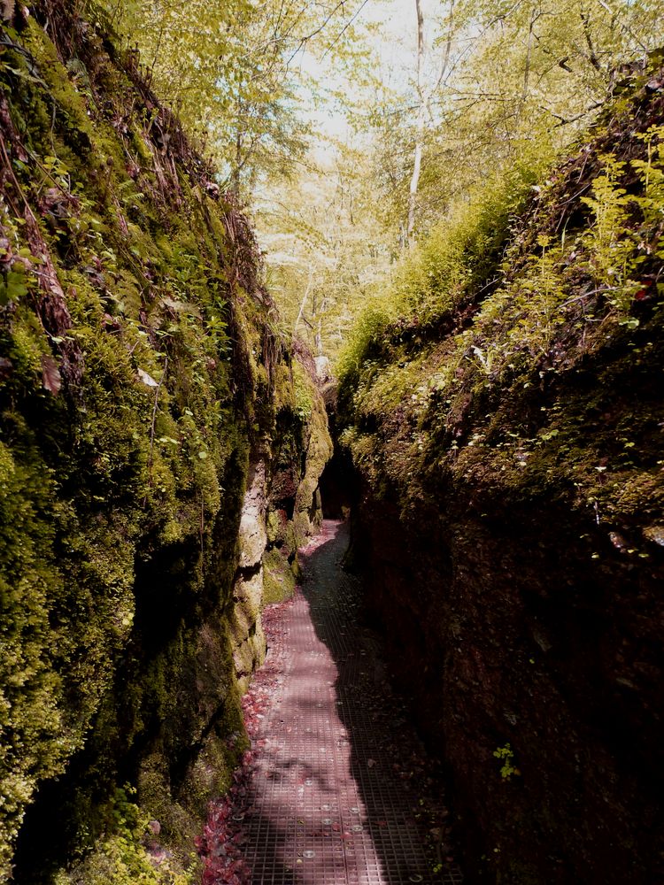 Drachenschlucht