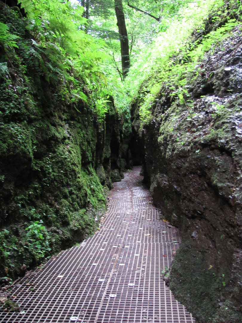 Drachenschlucht... auf geht's