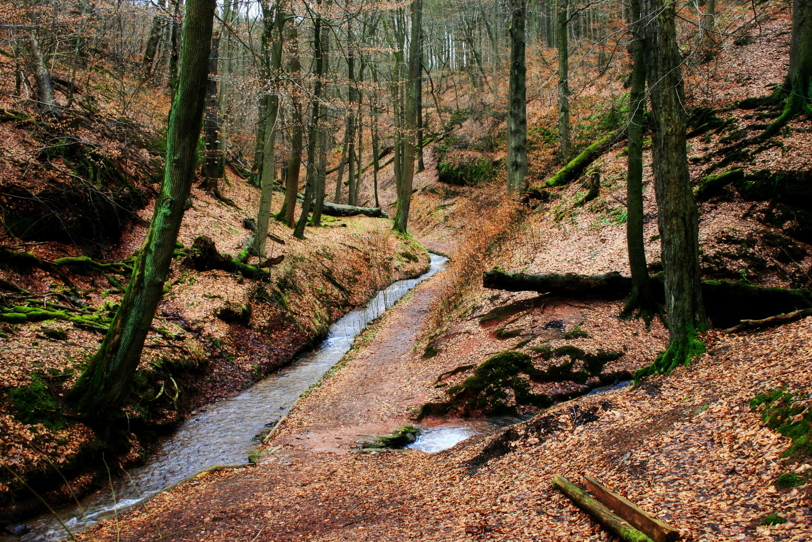 Drachenschlucht bei Eisenach Foto & Bild | landschaft, wald, natur Bilder auf fotocommunity