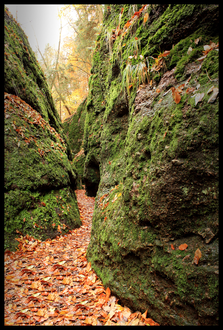 Drachenschlucht bei Eisenach