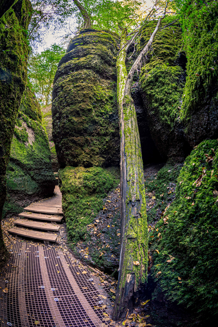 Drachenschlucht bei Eisenach