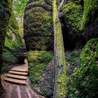 Drachenschlucht bei Eisenach