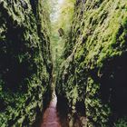 Drachenschlucht bei Eisenach