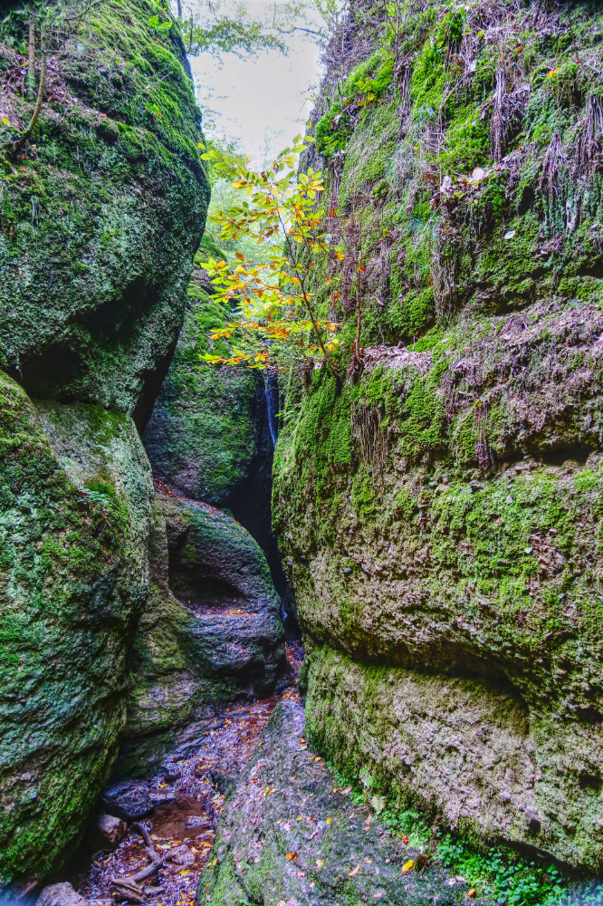 Drachenschlucht Eisenach