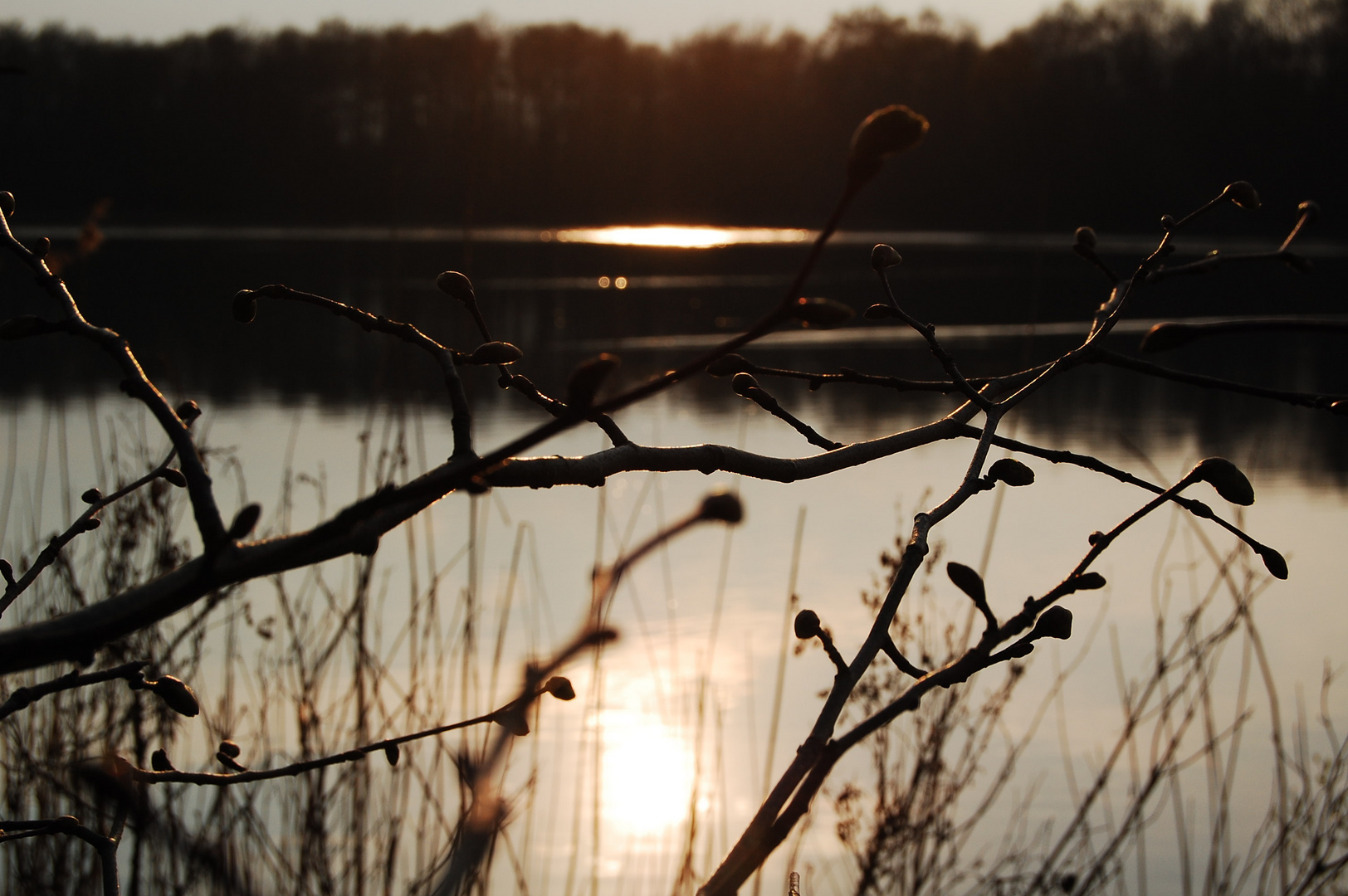 Drachensee