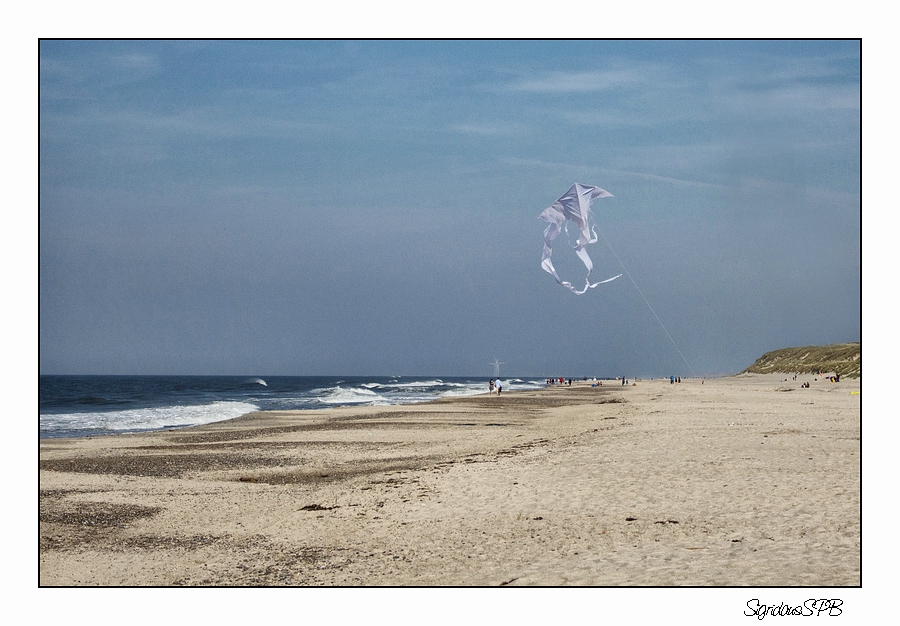 Drachensteigen am Strand....