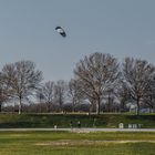 Drachensteigen bei Kaiserwetter auf der Donauinsel