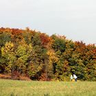 Drachensteigen mit Oma