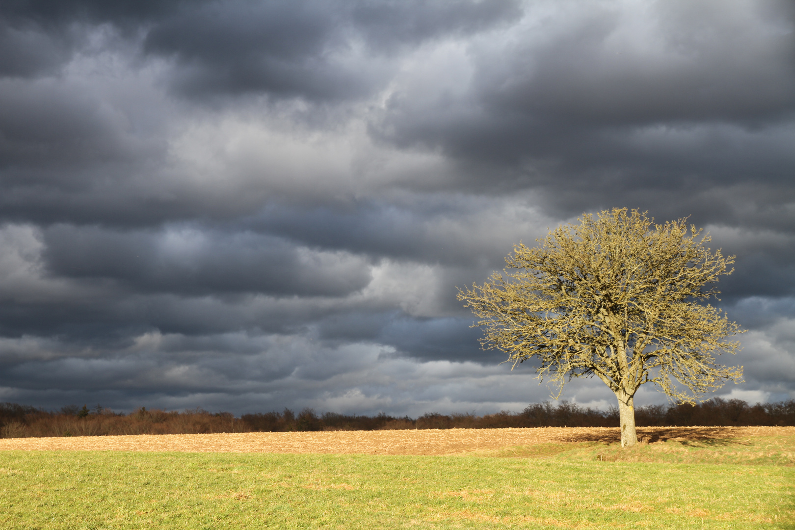 Drachenwetter