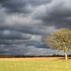 Drachenwetter